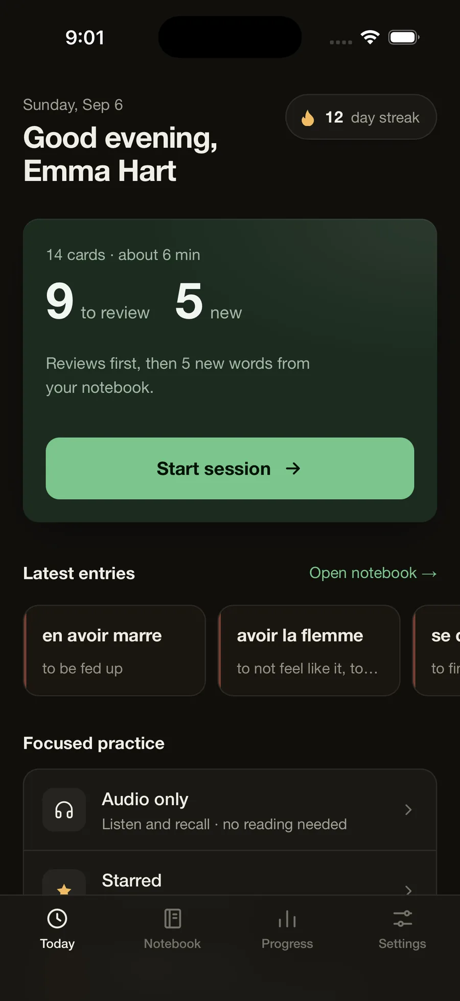 Today screen of a French notebook in dark mode: 9 words to review, 5 new, 12-day streak